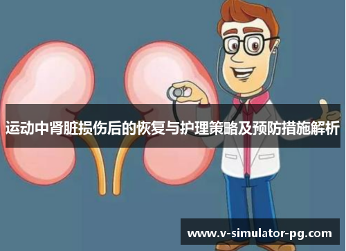 运动中肾脏损伤后的恢复与护理策略及预防措施解析