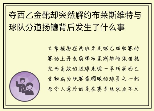 夺西乙金靴却突然解约布莱斯维特与球队分道扬镳背后发生了什么事